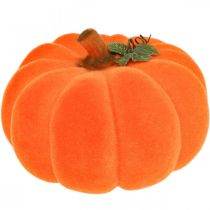 Kürbis Deko Orange groß Beflockte Herbstdeko Ø30cm