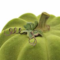 Artikel Deko-Kürbis aus Kunststoff, beflockt, Moosgrün, Ø32cm, Herbstdekoration