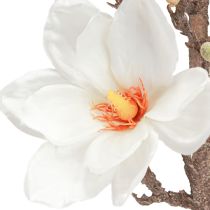 Artikel Kunstblume Magnolienzweig Blüten Ø2–10cm Creme L105cm