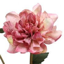 Kunstblume Dahlie Pink Blüte mit Knospe H57cm