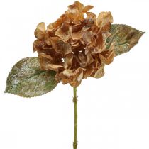 Artikel Kunstpflanze Hortensie vertrocknet Drylook Herbstdeko L33cm