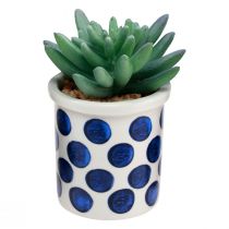 Artikel Künstliche Sukkulenten im Keramiktopf 9–12,5 cm Grün-Blau 4er Set
