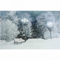 LED Bild Weihnachten Winterlandschaft mit Parkbank LED Wandbild 58x38cm