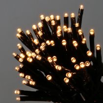 LED Lichterkette Schwarz, Warmweiß 448er für Außen 3m