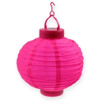 Artikel Lampion LED mit Solar 20cm Pink