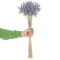 Artikel Getrocknetes Lagurus-Hasenschwanzgras Grau 60cm 75g für Trockensträusse