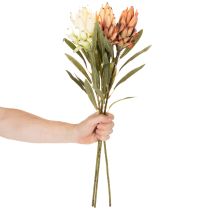 Artikel Künstliche Protea Leucadendron 65 cm Creme, Gelb und Orange 3 Stück