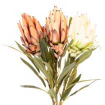 Artikel Künstliche Protea Leucadendron 65 cm Creme, Gelb und Orange 3 Stück