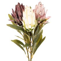 Artikel Protea Kunstblume Leucadendron 65 cm 3er-Set Creme Bordeaux Rosa