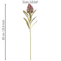 Artikel Protea Kunstblume Leucadendron 65 cm 3er-Set Creme Bordeaux Rosa
