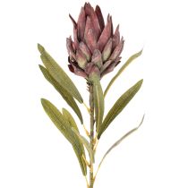 Artikel Protea Kunstblume Leucadendron 65 cm 3er-Set Creme Bordeaux Rosa