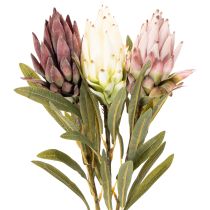 Artikel Protea Kunstblume Leucadendron 65 cm 3er-Set Creme Bordeaux Rosa