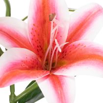 Artikel Künstliche Lilien 67 cm Rosa Doppelpack aus Polyester und Kunststoff