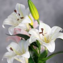 Artikel Künstliche Lilien aus Polyester Weiss 66 cm 2 Stück für Wohnraumdekoration