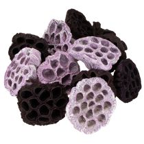 Artikel Lotos Mix Rosa, Erika Ø6cm - Ø10cm 50 St