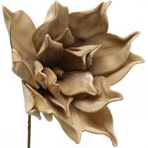 Lotusblume, Lotusblüte Deko, Kunstpflanze Beige L66cm
