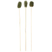 Artikel Luffa Schwammgurke klein am Stiel 5-7 cm Dunkelgrün 25 Stück