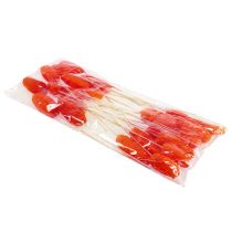 Artikel Luffa groß am Stiel Orange 25 St