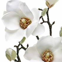 Magnolienzweig Weiß Dekozweig Magnolie Kunstblume