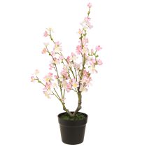 Artikel Mandelbaum Große Kunstpflanze im Topf Rosa Weiß 74cm