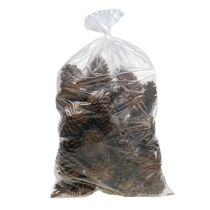 Artikel Maritima Zapfen 14/18 natur 25St