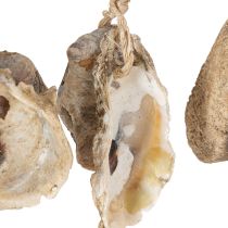 Artikel Holz-Wanddeko maritim mit Muscheln und Schriftzug 50cm