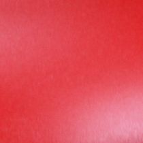 Artikel Markierspray Rot 400ml Kreidefarbe Spray für Innen und Aussen
