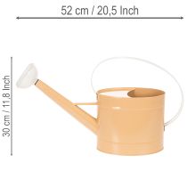 Artikel Metall Giesskanne Vintage Hellbraun 52,5cm – Pflanzkanne für Innen- und Sommerdeko