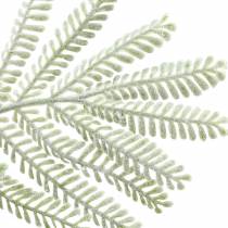 Artikel Dekozweig Mimose 63cm Grün mit Frosteffekt Kunststoff