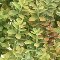 Artikel Mini Sukkulente künstlich Grün Kunstpflanze mit Stiel H23cm