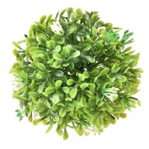 Artikel Mini Buchsbaum-Kugel mit Blüten Buchskugel Grün Ø10cm
