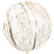 Artikel Mintolla Ball am Stab, weissgewaschen, 43–46 cm, 6 Stück