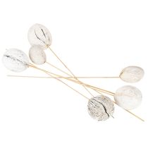 Artikel Mintolla Ball am Stab, weissgewaschen, 43–46 cm, 6 Stück
