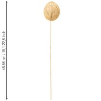 Artikel Gebleichter Mintolla Ball 8–10 cm mit Stiel, Naturdeko, 46–58 cm, 6 Stück