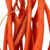 Mitsumata Zweige Orange 34-60cm 12St