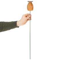 Artikel Gartenstecker Mohnkapsel Set 2 Stück aus Keramik Braun Höhe 60 cm
