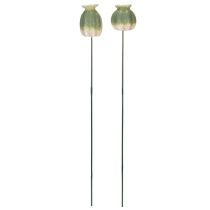 Artikel Mohnkapsel-Gartenstecker 41 cm Grün Keramik 4er-Set