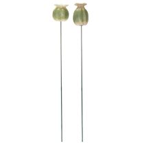 Artikel Mohnkapsel Gartenstecker aus Keramik und Metall 60cm Grün 2er Set