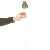 Artikel Mohnkapsel Gartenstecker aus Keramik und Metall 60cm Grün 2er Set