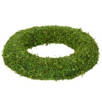 Artikel Deko-Mooskranz 15 cm grün 6 Stück für saisonale Arrangements