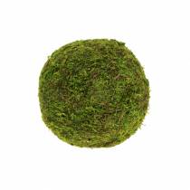 Artikel Mooskugel Ø9cm 6St