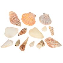 Artikel Muschelmix Natur 3 Netze à 350g - Dekoration aus echten Muschel- und Schneckenschalen