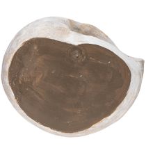 Artikel Dekogefäss Schneckenform aus Polyresin grau mit goldenem Schimmer 21cm