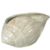 Artikel Keramikschale Seeschnecken-Design 23 cm Hellgrün mit Beige