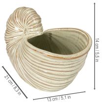 Artikel Blumentopf Schnecke Design Keramik für besondere Pflanzenarrangements 21cm