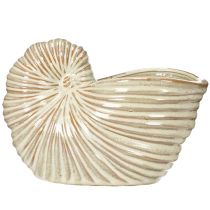 Artikel Blumentopf Keramik Schneckenform 21cm Creme-Ton für Innenbereich