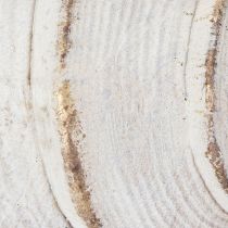 Artikel Dekorative Muschel aus Polystone 44 cm in Weiss-Braun-Gold