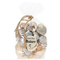 Artikel Natürliche Muscheln und Schnecken 500g - Maritime Dekoration in Naturfarben für Innenräume
