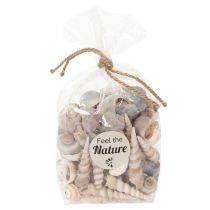 Artikel Muscheln und Schnecken aus Naturmaterial für maritime Dekoration, 500g, weiss-beige-grau