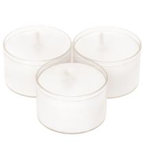 Artikel Nachtlichter Teelichter Weiss mit Plastikhülle Ø3,8cm H3cm 8 Stunden 50 Stück